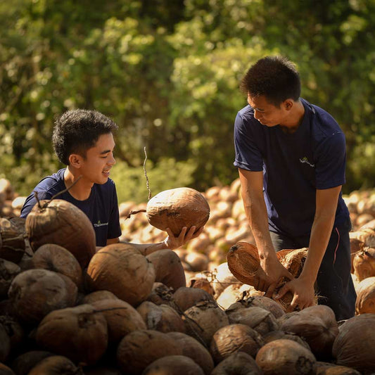 Die Nam-Hom-Kokosnuss: Ein geschmackliches und gesundheitliches Wunder aus Thailand